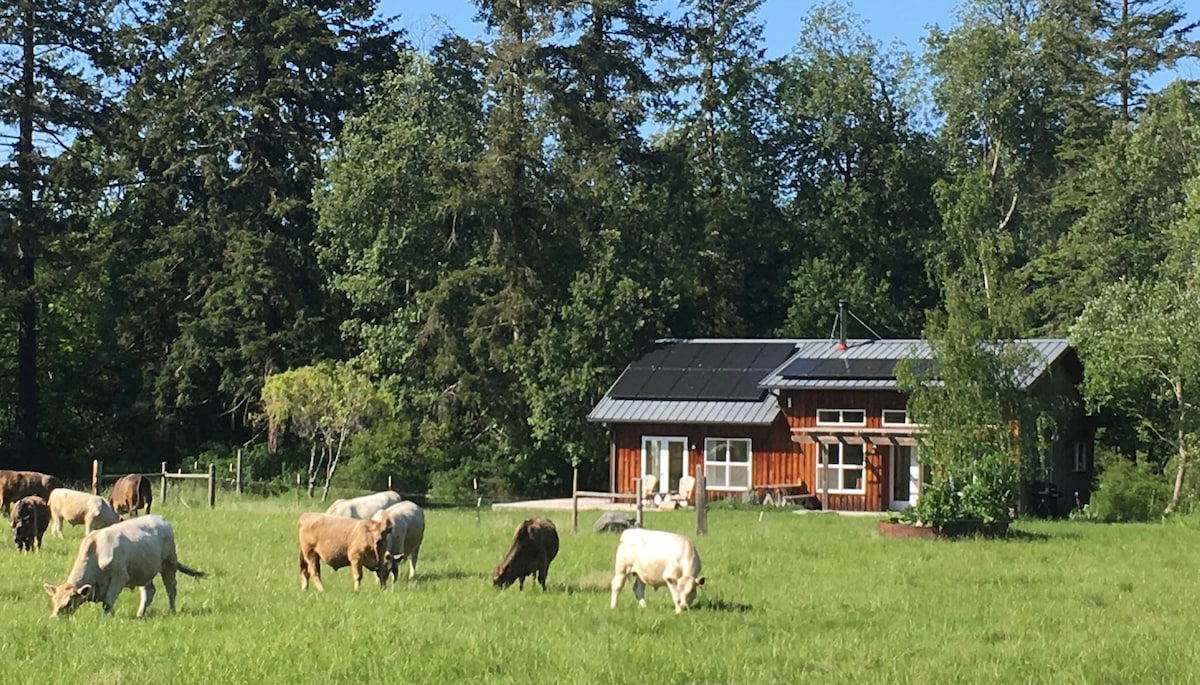 MacKaye Harbor Inn bed and breakfast with kayaks and wildlife viewing on Lopez Island